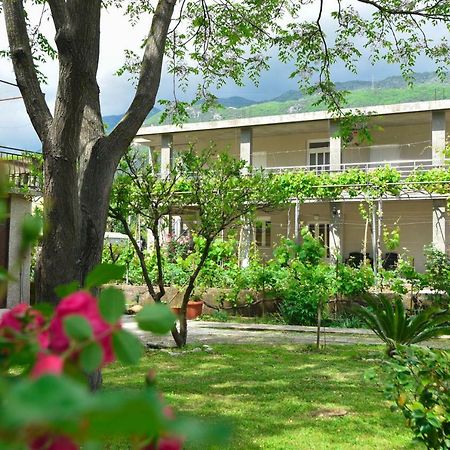 Apartmani Mihovic - Jaz Будва Екстер'єр фото